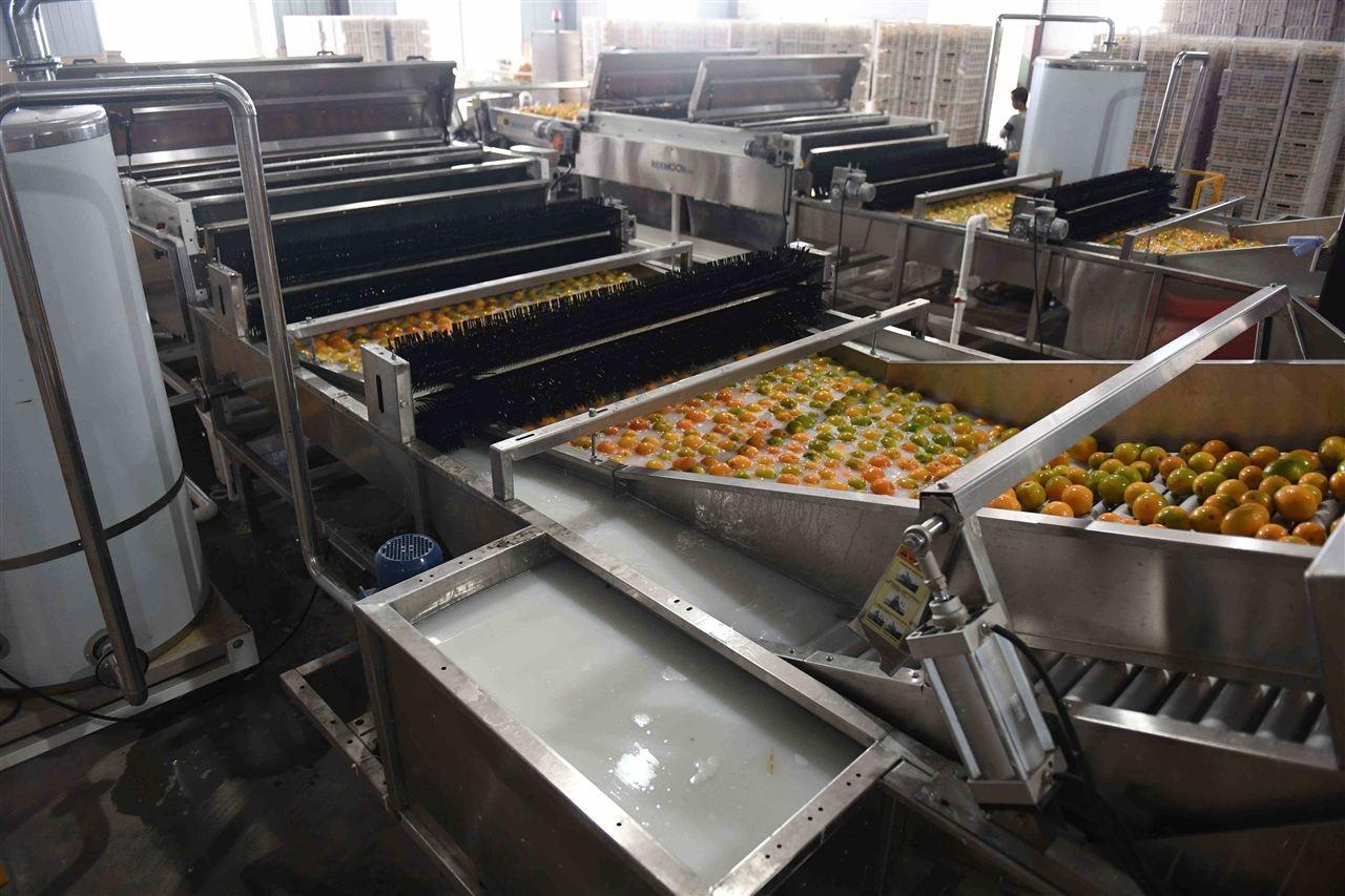 柑橘深加工設備-果酒飲料生產線設備